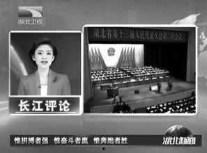 湖北电视台新闻爆料,揭露当地民生问题背后的真相