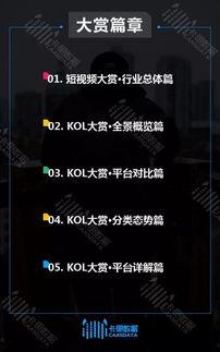 爆料行业视频大全,揭秘行业秘密，一网打尽热门爆料